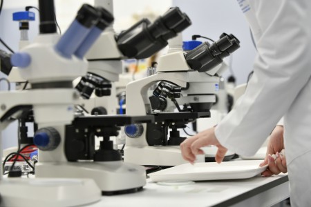 Kliknij, aby powiększyć zdjęcie.